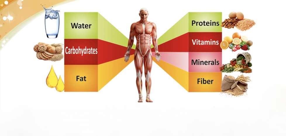 CapoVelo.com - Seven Nutrients Important For Mental Health - And Where ...