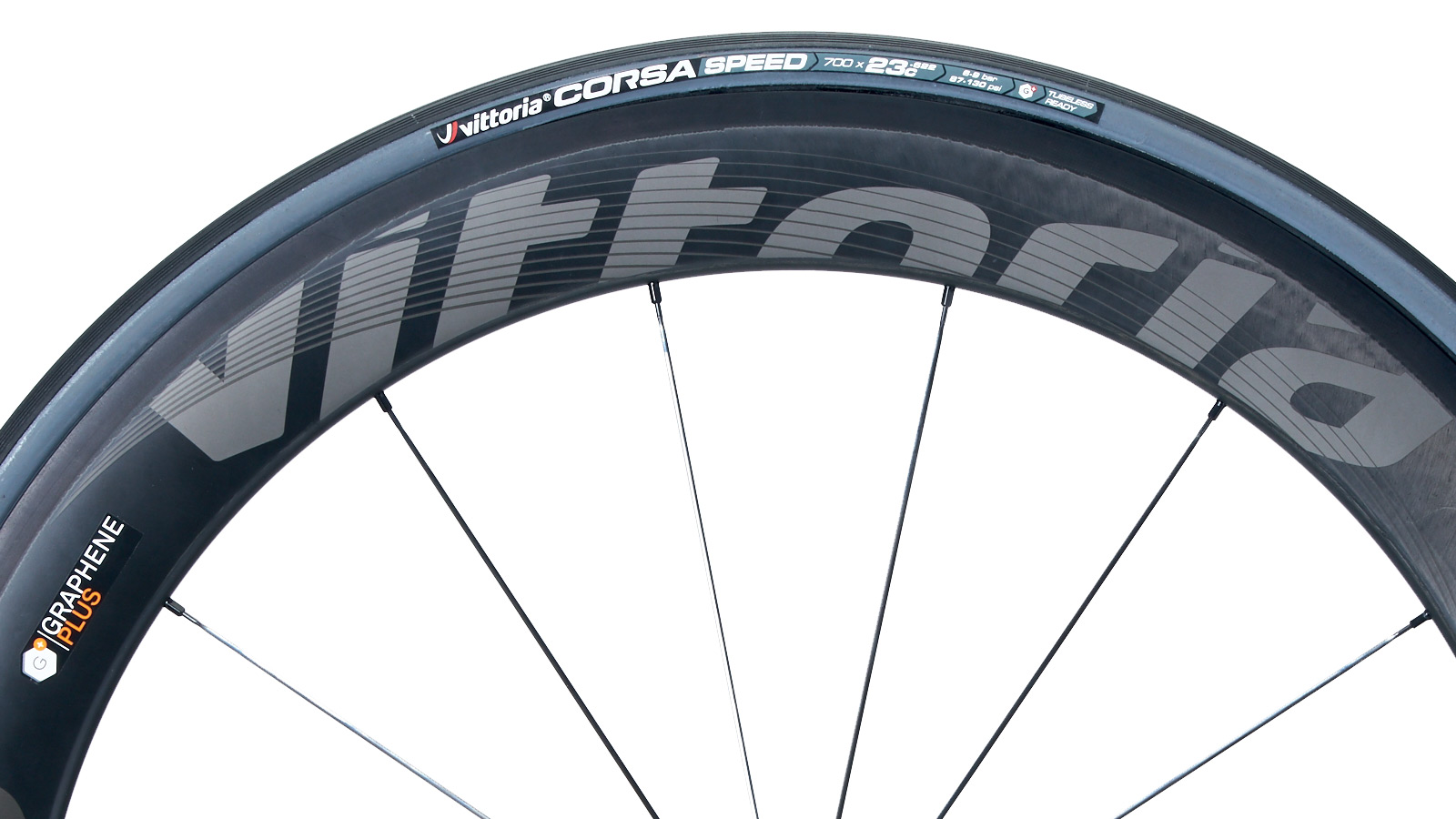 vittoria corsa grey wall