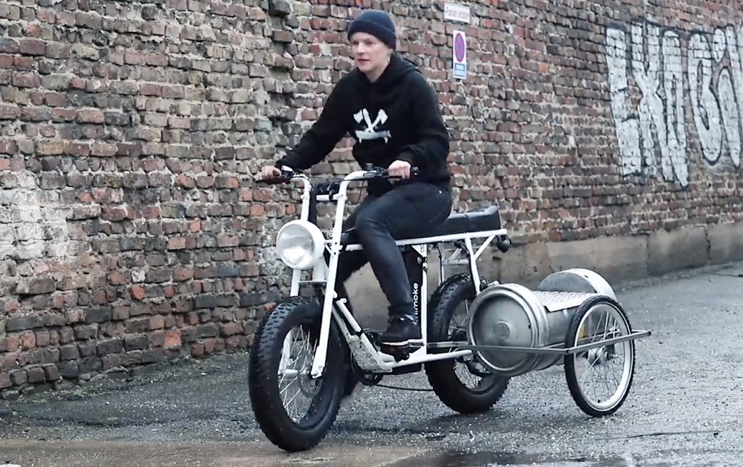 e bike with sidecar